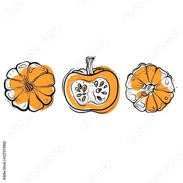 Fototapeta Pumpkins doodle isolated on a white background