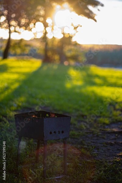 Obraz Small BBQ with beautiful sun backlight