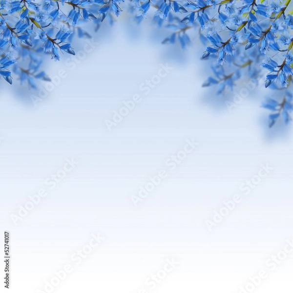 Obraz Blue flowers