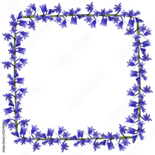 Obraz Blue flowers frame
