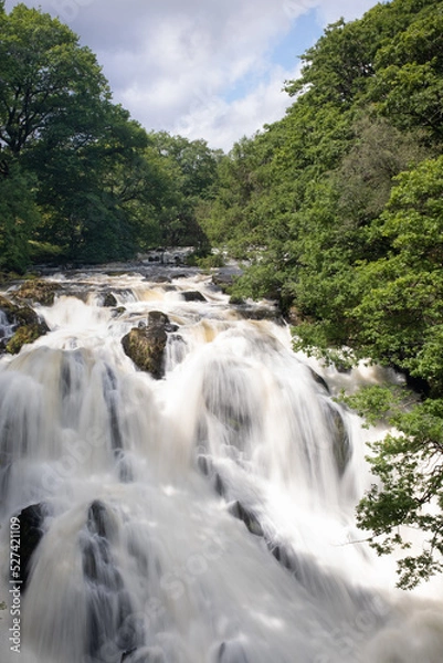 Obraz waterfall in the forest