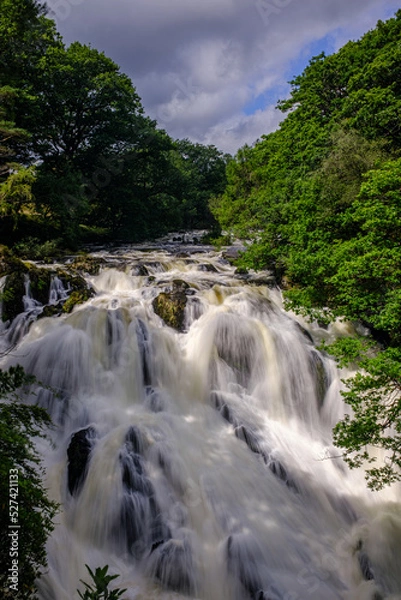 Obraz waterfall in the forest