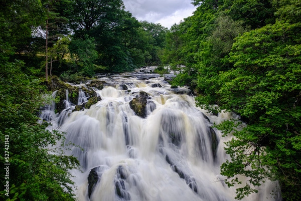 Obraz waterfall in the forest