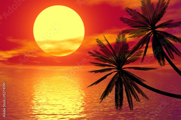 Obraz red sunset and palm