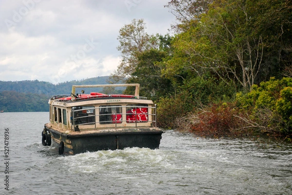 Fototapeta Boating at Periyar Tiger Reserve, Thekkady, Kerala, India