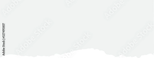 Fototapeta torn paper scrap