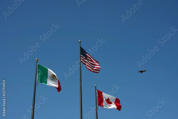 Obraz Flags of the United States, Mexico, Canada waving side by side under blue sky with a bird flying