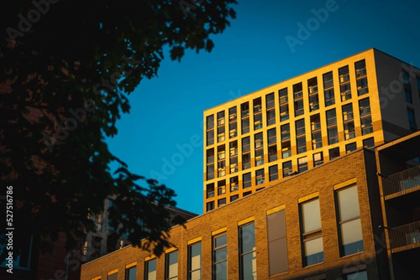 Obraz Old building with tree branches in the foreground