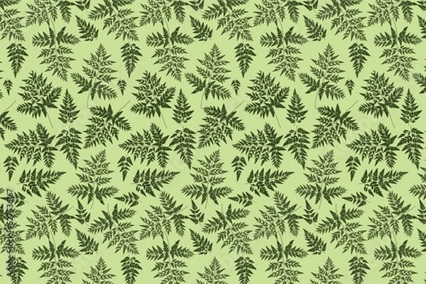 Fototapeta fern seamless pattern