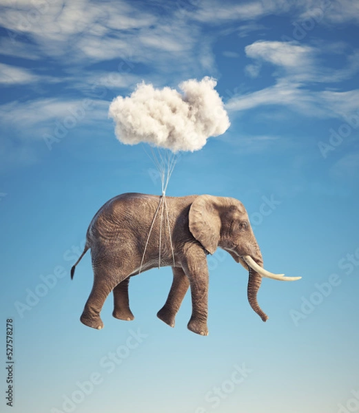 Fototapeta Elephant flying with a cloud.