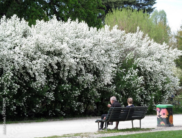 Fototapeta Grandparents couple sitting in a public park on spring day.