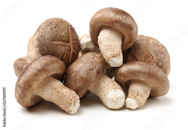 Fototapeta Shiitake mushroom on the White background 