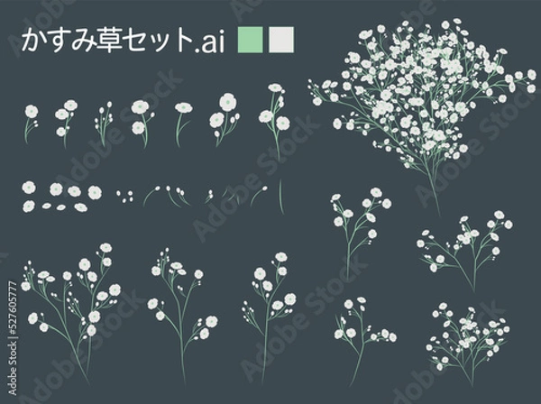 Fototapeta かすみ草セット