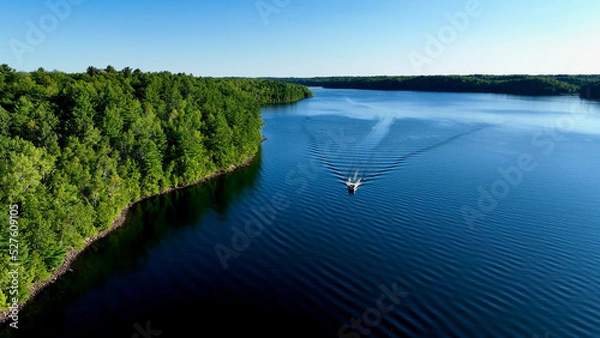 Fototapeta lake in the forest