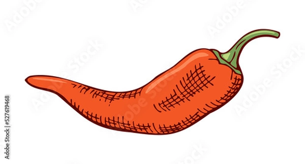 Obraz red chili pepper, color drawing, hatching