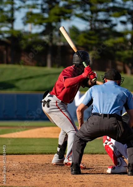 Fototapeta baseballll
