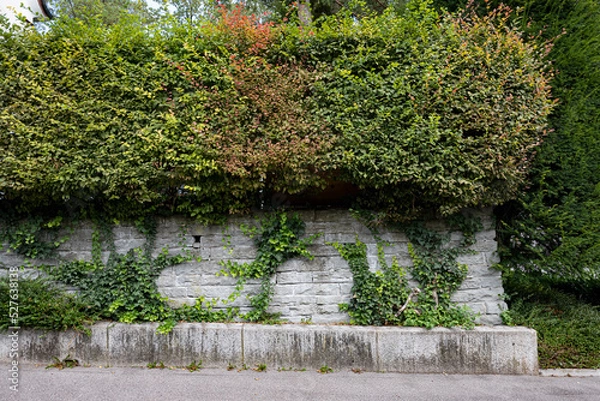 Obraz Hecke, Mauer und Strasse