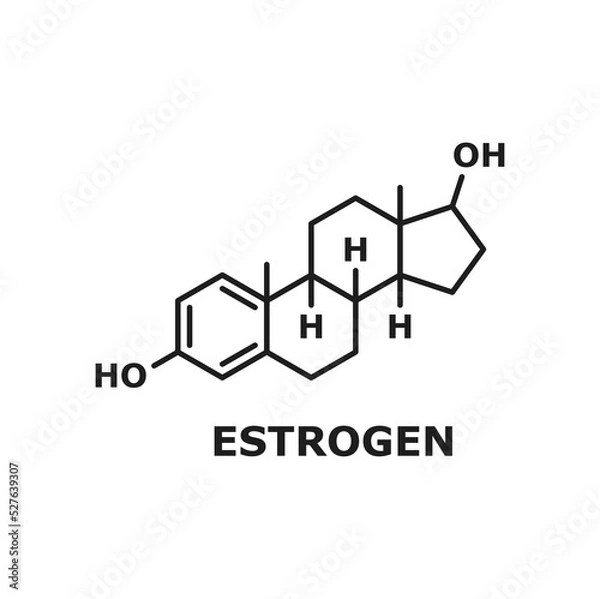Fototapeta Chemical formula of estrogen molecular structure, line art design element. Vector formula of progesterone, menstrual cycle, pregnancy, and embryogenesis hormone chemical molecular formula