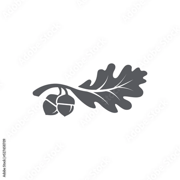 Obraz Oak leaf with acorns icon. Oak leaf logo design template. Oak leaf with acorns graphic vector. Vector illustration