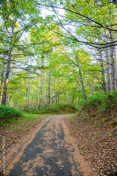 Fototapeta 秋の乗鞍高原へのドライブ