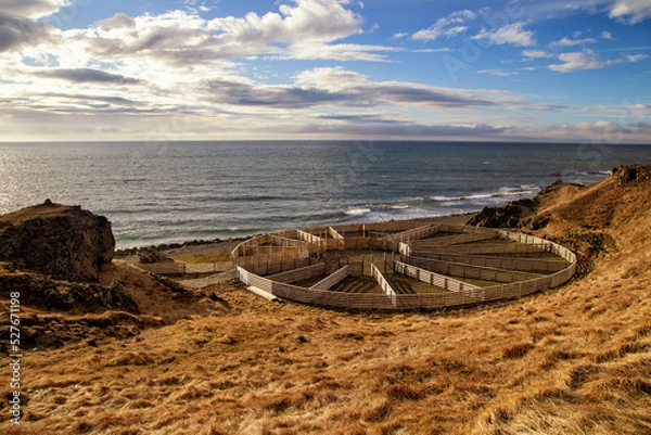 Obraz rundes Tiergehege in der nähe von hvammstangi in island bei Abenddämmerung