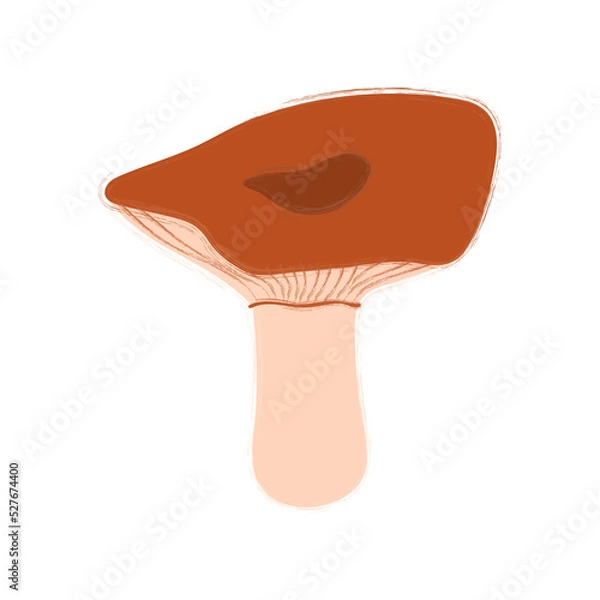 Obraz Vector image of a mushroom isolated on a white background. Porcini mushrooms, chanterelles, honey mushrooms, mushrooms, toadstools, morels. Cartoon style.