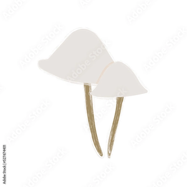 Obraz Vector image of a mushroom isolated on a white background. Porcini mushrooms, chanterelles, honey mushrooms, mushrooms, toadstools, morels. Cartoon style.