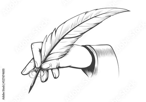 Fototapeta Hand Holds a Feather Quill Pen Drawn in Engraving Style