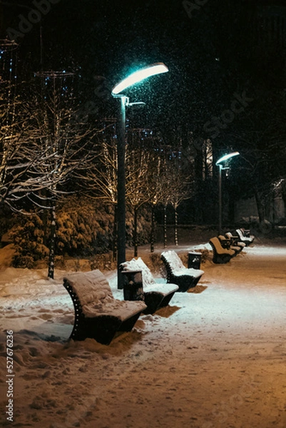 Obraz winter in the city