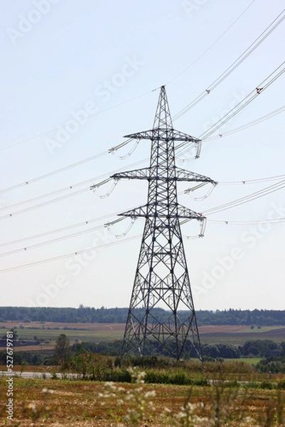 Obraz Power lines in the field