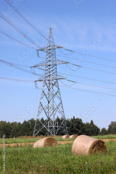Obraz Power lines in the field