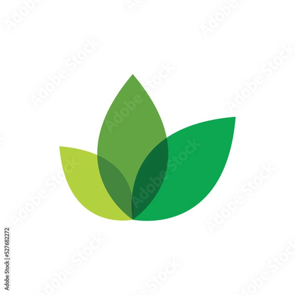 Obraz Green leaf logo