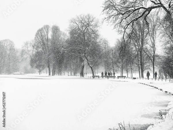 Fototapeta People Walking on Path in snow through the Woods in a Park