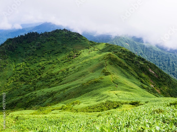 Obraz OLYMPUS DIGITAL CAMERA