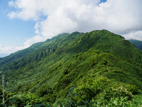 Obraz OLYMPUS DIGITAL CAMERA