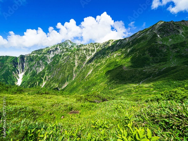 Obraz 笠ヶ岳　杓子平　夏