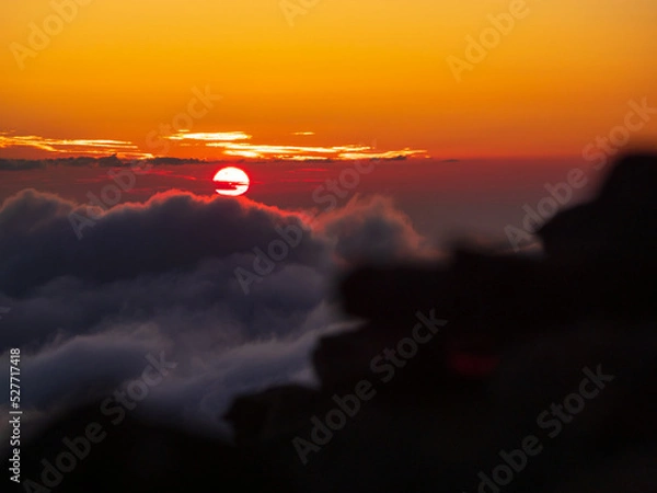 Obraz OLYMPUS DIGITAL CAMERA