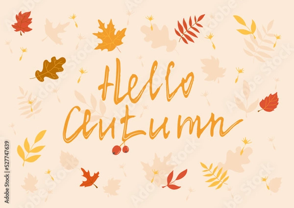 Fototapeta Fall background with hand drawing lettering and leaves. Hello autumn. Botanical vector illustration, template for card or invitation.