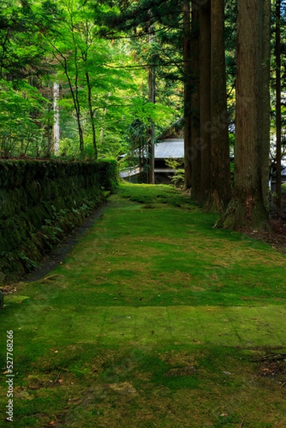 Fototapeta 光前寺の参道　駒ヶ根市　長野