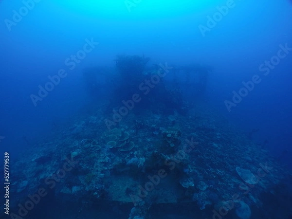 Fototapeta Diving on the "Iro" famous ship wrecks of the Palau archipelago. Diving on the reefs of the Palau. These ship wrecks were from Japanese Navy at WW2.