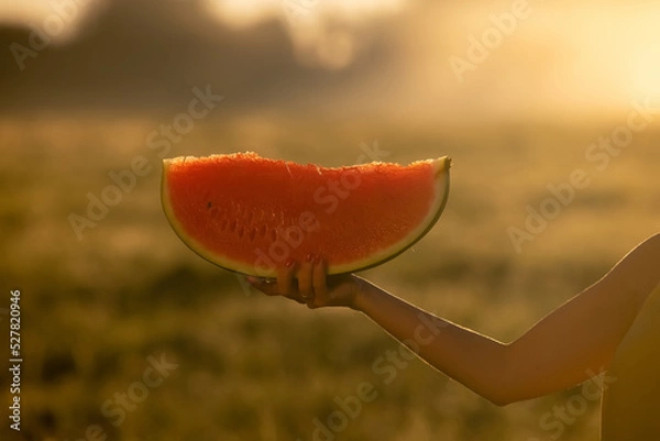 Fototapeta watermelon on hand in the garden,with green bokeh background