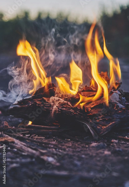 Fototapeta book in flames