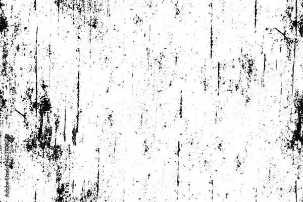 Obraz Vector grunge background black and white