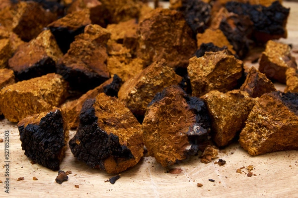 Obraz Closeup of dried and cut orange and black medicinal chaga mushroom from birch tree, used in alternative medicine on cutting board.