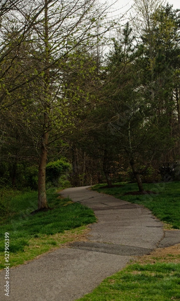 Obraz path in the park