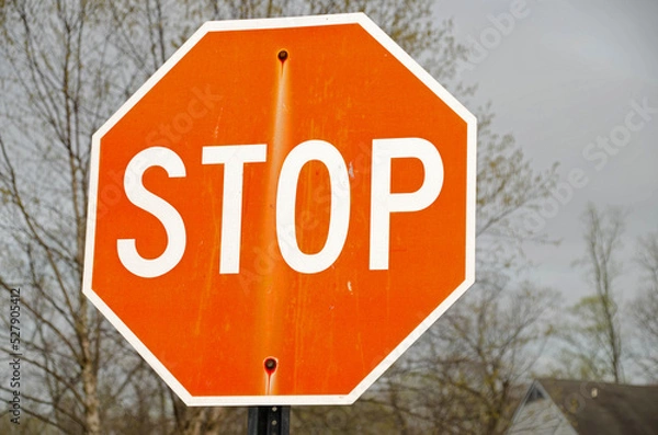 Obraz stop sign on the street