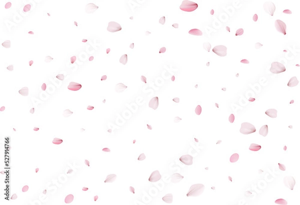 Fototapeta Flying sakura petals.