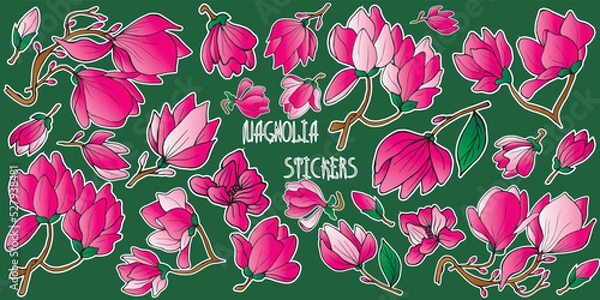Obraz Set of colorful magnolia stickers on a green background. Hand drawn vector isolated illustration for cards, invitations, print and stickers.