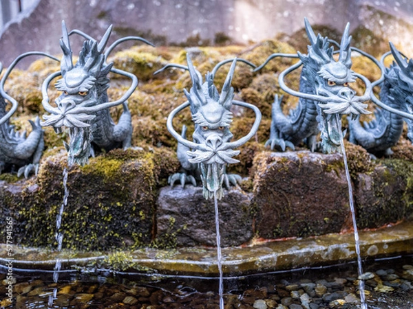 Fototapeta dragon fountain with multiple heads in a shinto shrine in Japan