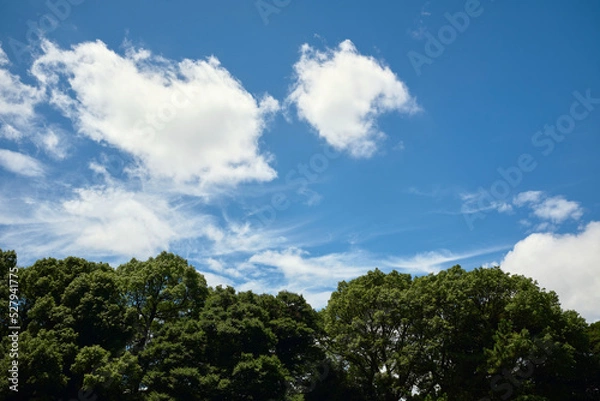 Fototapeta Minimalist Cloudy Sky with Green Trees